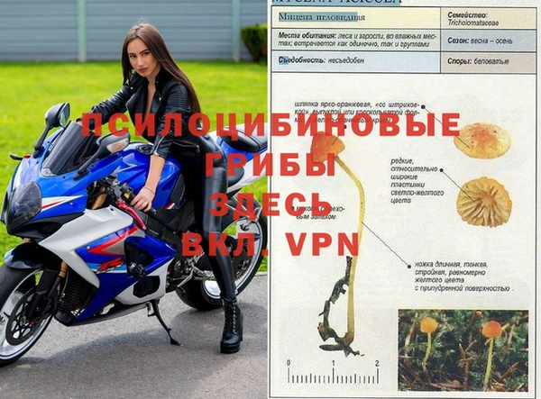 скорость Заволжск