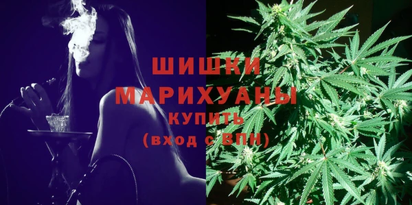 СК Заводоуковск