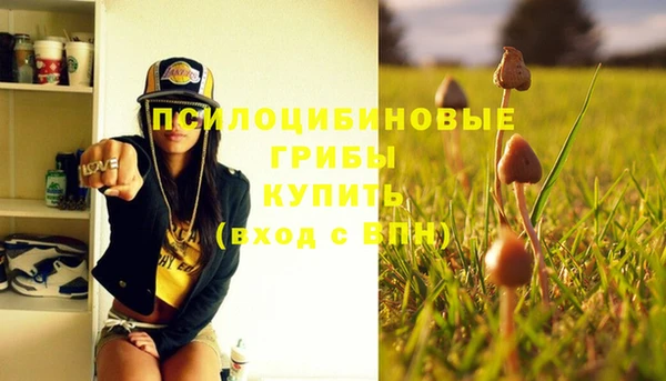 СК Заводоуковск