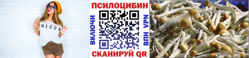 Купить где  Зарайск  Галлюциногенные грибы мухоморы 